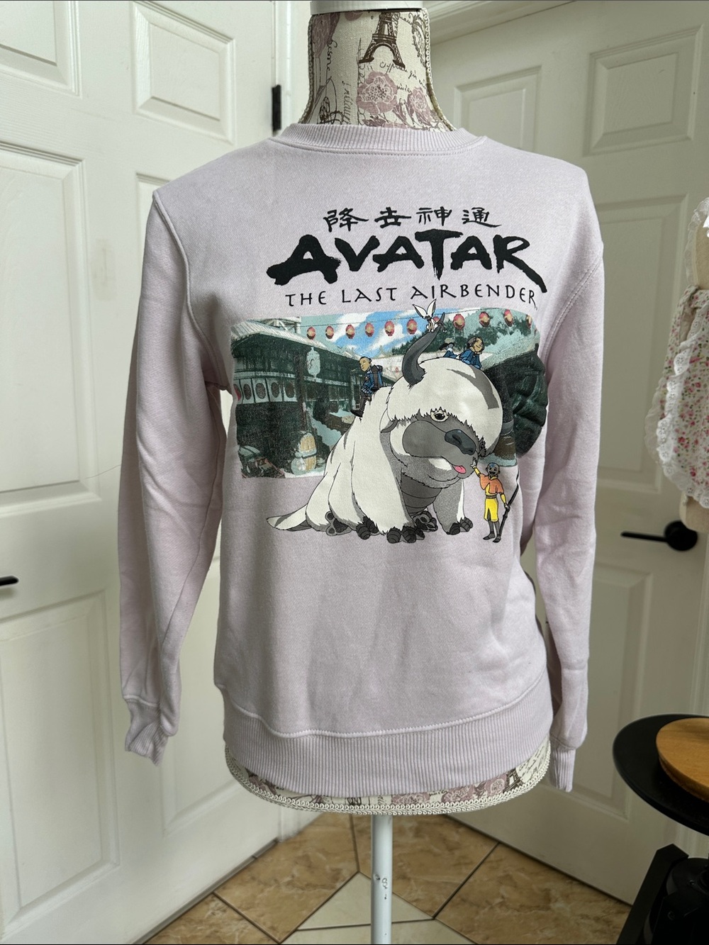 Avatar The Last Airbender Lavender Graphic Sweatshirt in Size XS